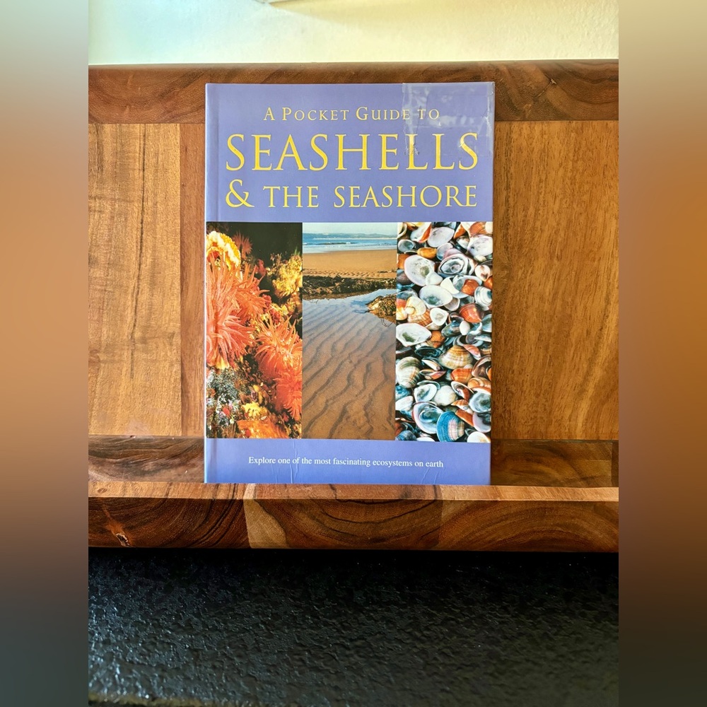 Barnes & Noble Seashells & The Seashore - Blue Cover with Yellow Title